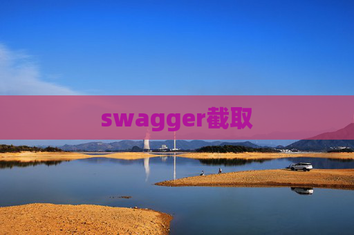 swagger截取